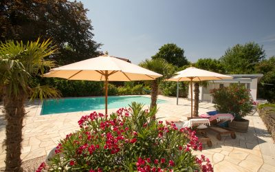 Mit Palmen Am Pool Den Sommer Genießen