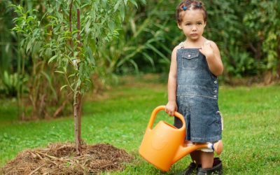 Der Jahreszeitenkalender Für Ihren Garten