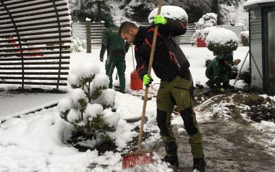 Schnee Umweltschonend Bekämpfen