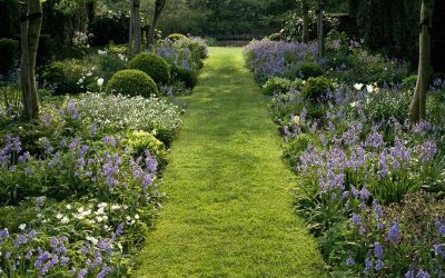 Gartenpflege Im Mai: Sähen Und Pflegen
